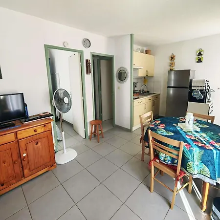 Apartment T2 Calme Avec Parking, Proche Pour 4 Personnes - Fr-1-607-216 *